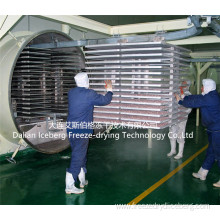 Seasoning Vacuum Freeze Drying Machine